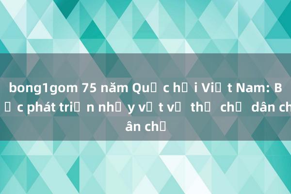 bong1gom 75 năm Quốc hội Việt Nam: Bước phát triển nhảy vọt về thể chế dân chủ